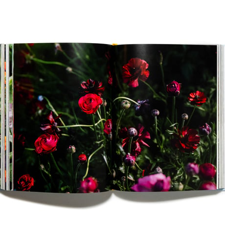 Super Bloom: A Field Guide to Flowers for Every Gardener