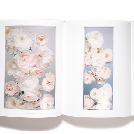 Photographie: Christian Dior by Brigitte Niedermair