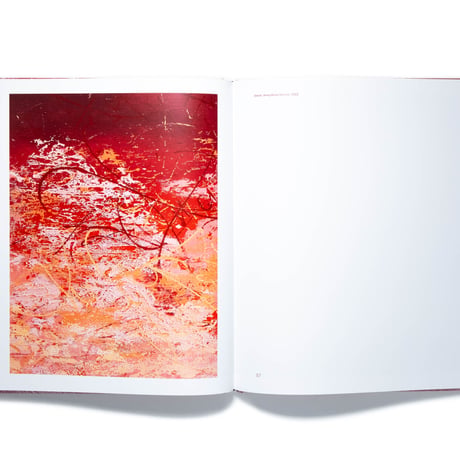 José Parlá: Ciclos: Blooms of Mold