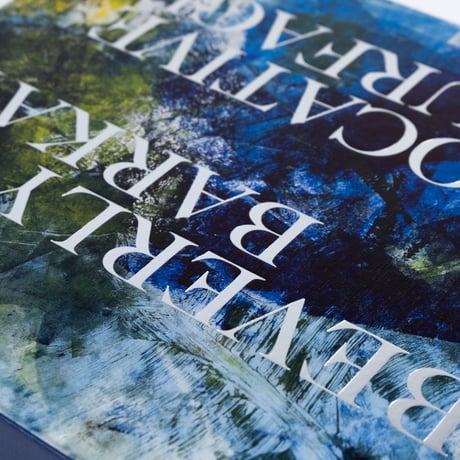 Beverly Barkat: Evocative Surfaces