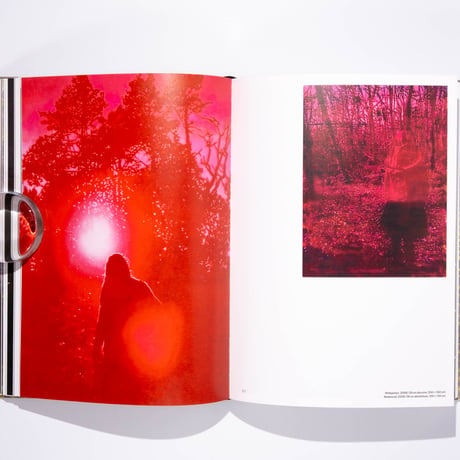 Steinar Jakobsen. Remake Remodel Rewind