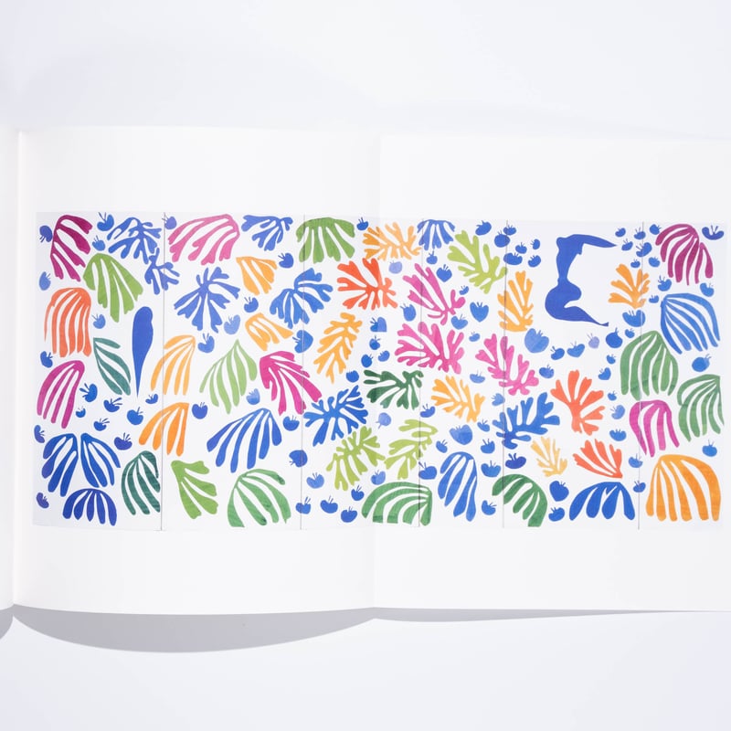 Henri Matisse: The Cut-Outs | Art Book Iskusstvo