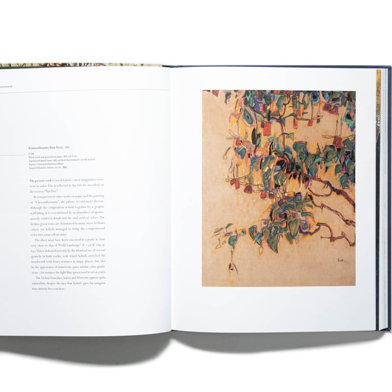 Egon Schiele: Landscapes | Art Book Iskusstvo