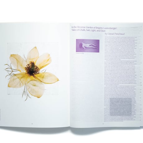 Brigitte Lustenberger: An Apparition of Memory
