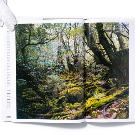 Thomas Struth: New Pictures from Paradise