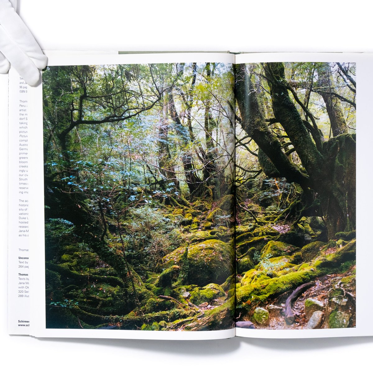 Thomas Struth: New Pictures from Paradise | Art Thomas Struth: New Pictures from Paradise | Art