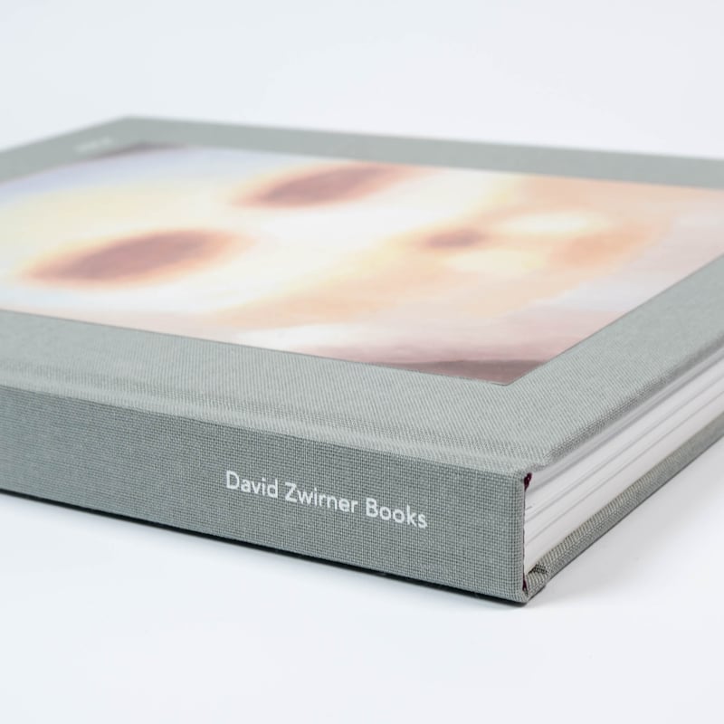 Luc Tuymans: Nice | Art Book Iskusstvo