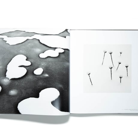 Peter Mathis: Snow