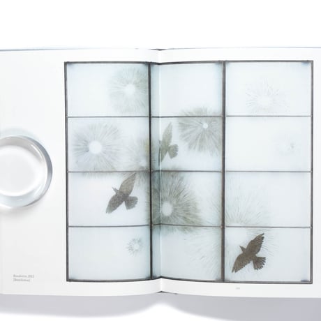 Kiki Smith