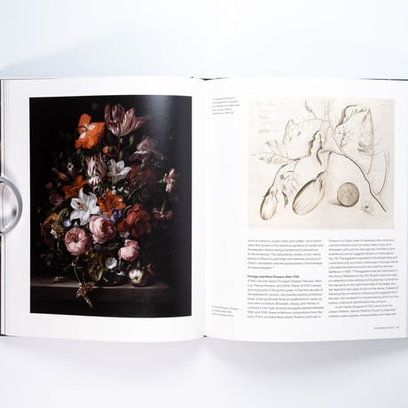 Rachel Ruysch: Nature into Art