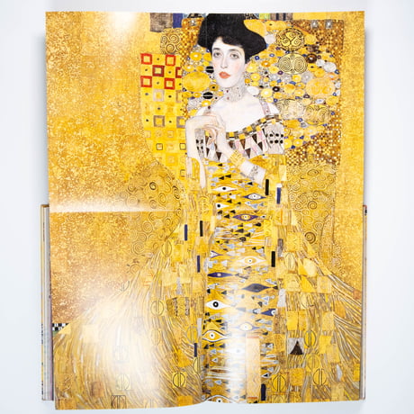 Klimt: The Bigger Picture