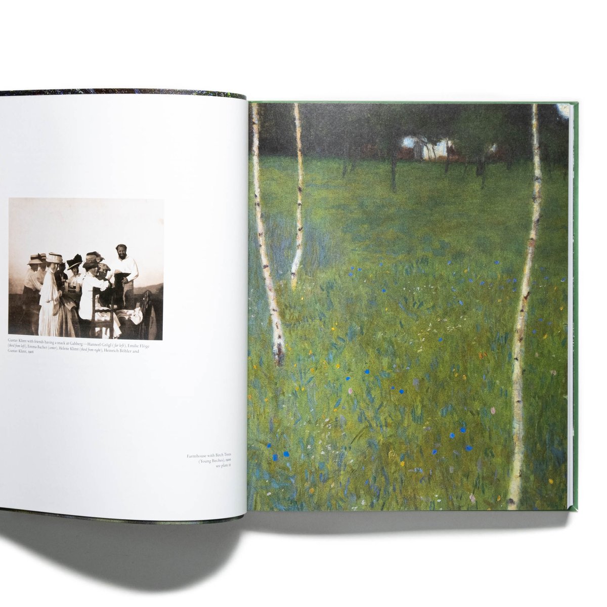 クリムト 風景画集　Gustav Klimt: Landscapes 洋書 Gustav Klimt: Landscapes: Koja, Stephan: 9783791385440