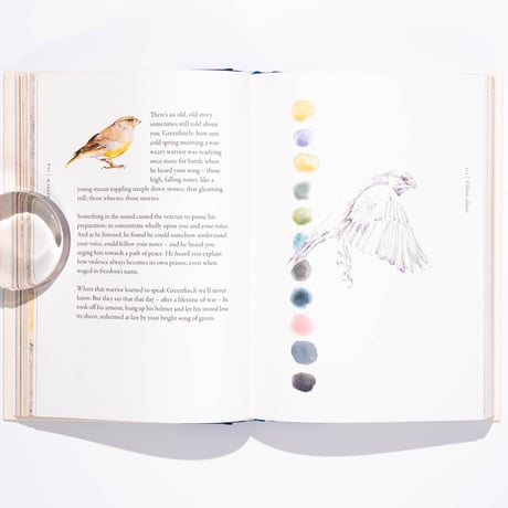 The Book of Birds : A Field Guide to Wonder and Loss