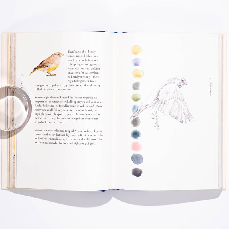 Lansdowne's Birds of the Forest 鳥の図鑑 洋書 Lansdowne's Birds of