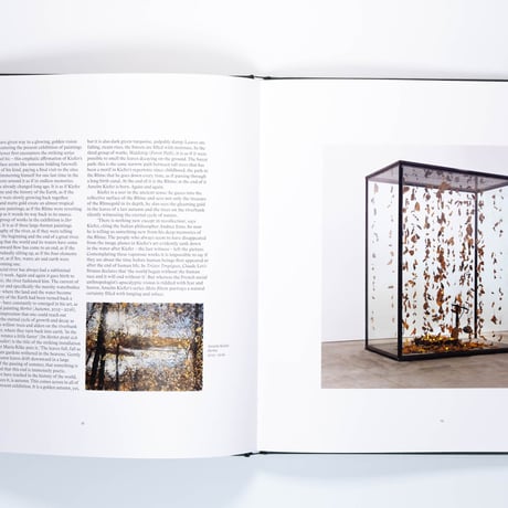 Anselm Kiefer: Mein Rhein