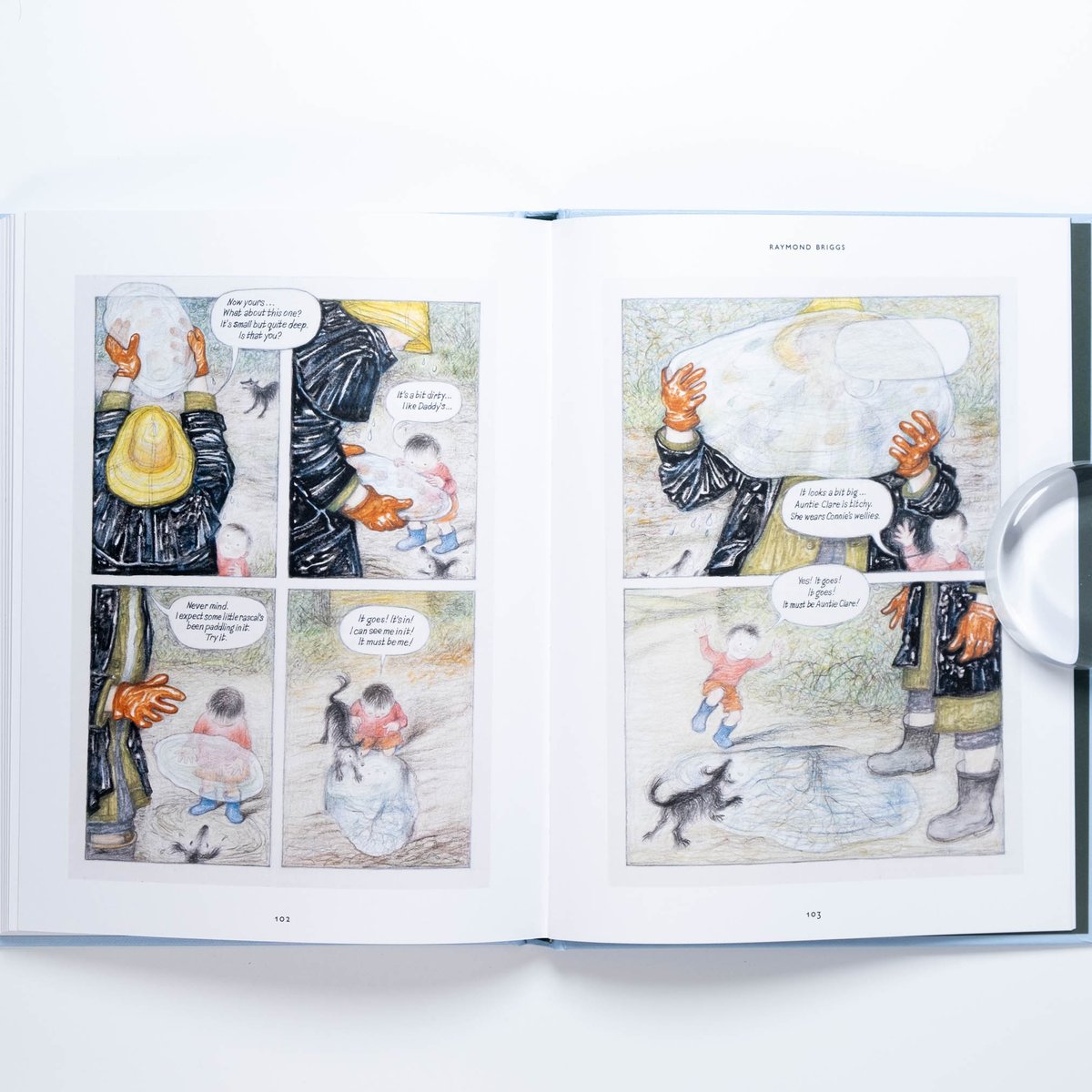 Raymond Briggs (The Illustrators) | Art Book Is Raymond Briggs (The Illustrators) | Art Book Is