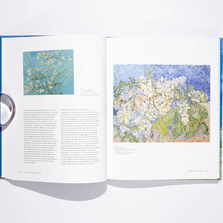 Van Gogh in Auvers-sur-Oise: His Final Months