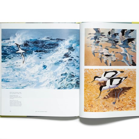 Birds: Ornithology & the Great Bird Artists