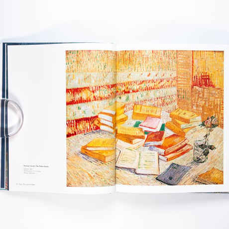 Van Gogh: The Bigger Picture