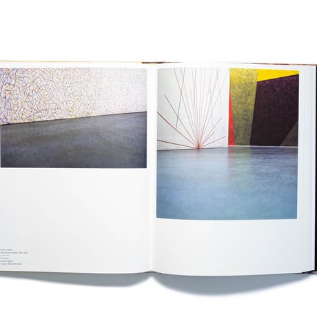 Cy Twombly Photographer, Friends and Others: Le Temps Retrouvé