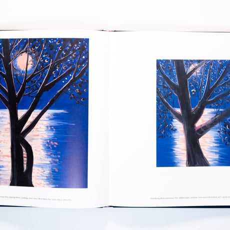 Ann Craven: Twelve Moons