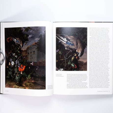 Rachel Ruysch: Nature into Art