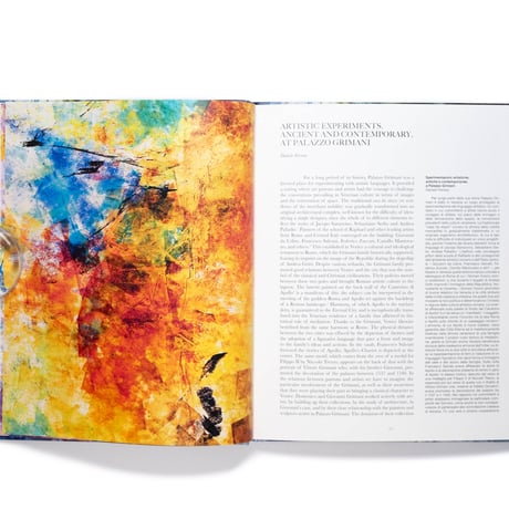 Beverly Barkat: Evocative Surfaces