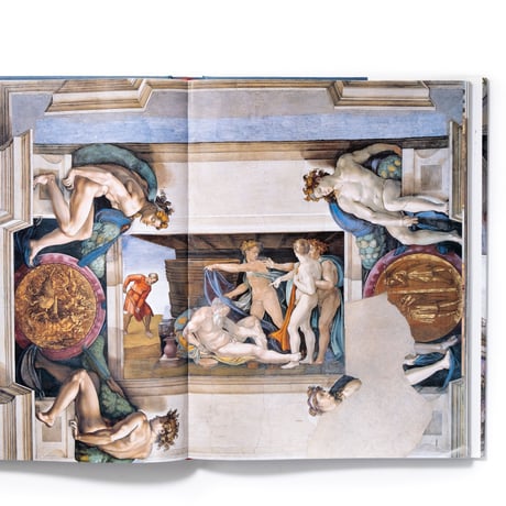 The Sistine Chapel : A New Vision