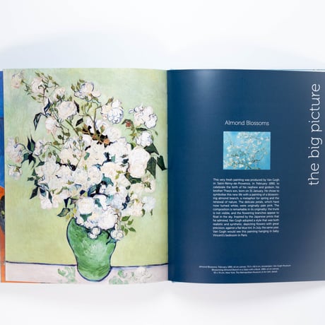Van Gogh: The Bigger Picture