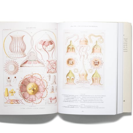 The Art and Science of Ernst Haeckel. 40th Ed.