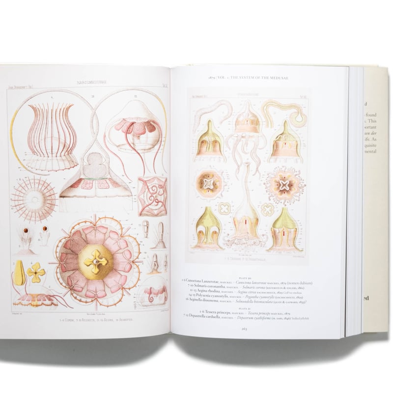 The Art and Science of Ernst Haeckel. 40th Ed. The Art and Science of Ernst Haeckel. 40th Ed.