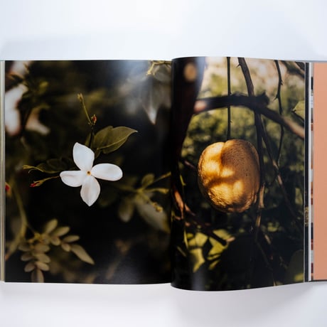 Louis Vuitton: A Perfume Atlas