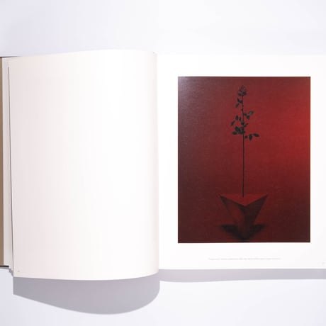 Niedermair, Dior. Drawing, photography