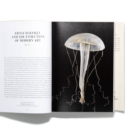The Art and Science of Ernst Haeckel. 40th Ed.