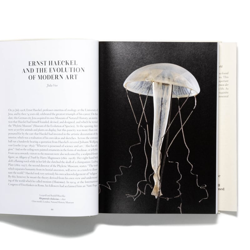 The Art and Science of Ernst Haeckel. 40th Ed.