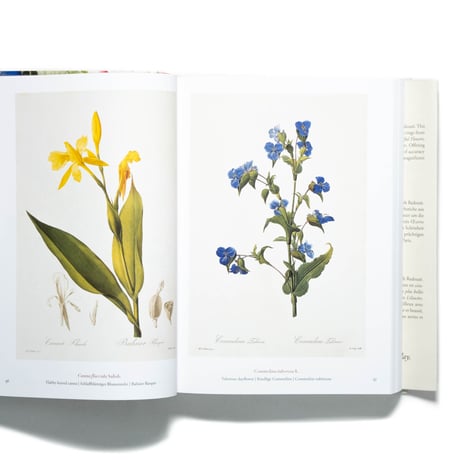 Redouté: The Book of Flowers. 40th Ed.