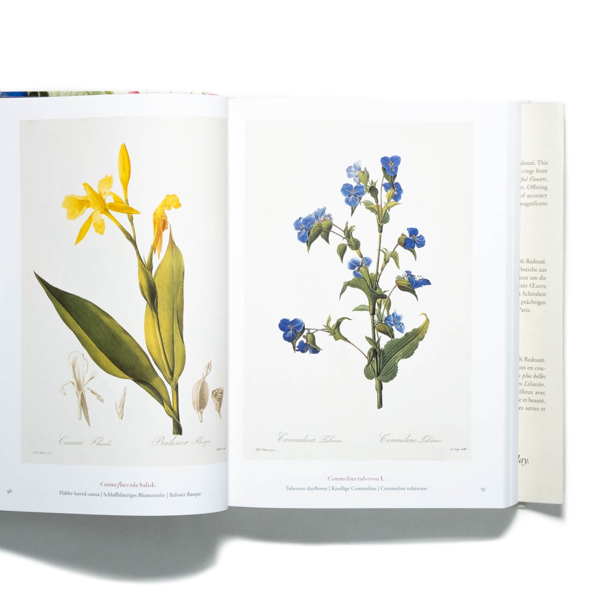 fit=scale-down,w=1200