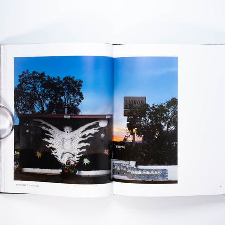 Ordinary People: Photorealism and the Work of Art since 1968