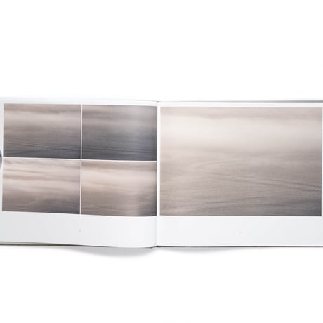Sylvie Leblanc: H2O-scapes