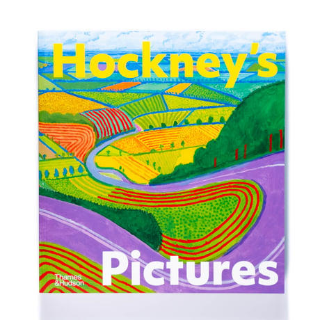 Hockney's Pictures