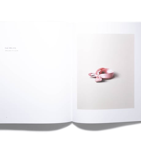 Alison Watt: A Portrait Without Likeness