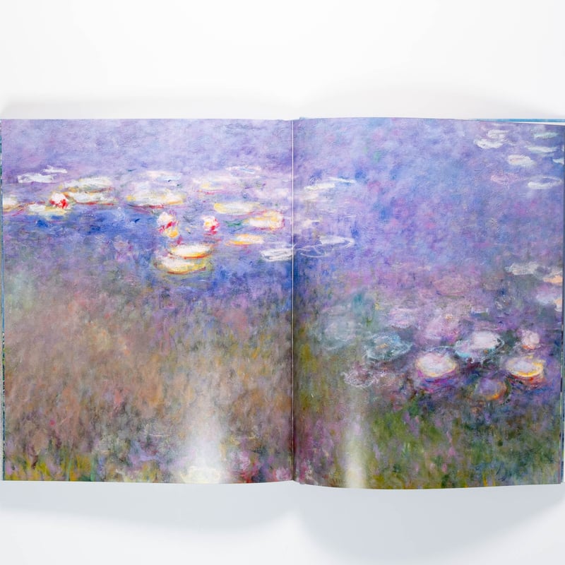 Monet: The Bigger Picture | Art Book Iskusstvo