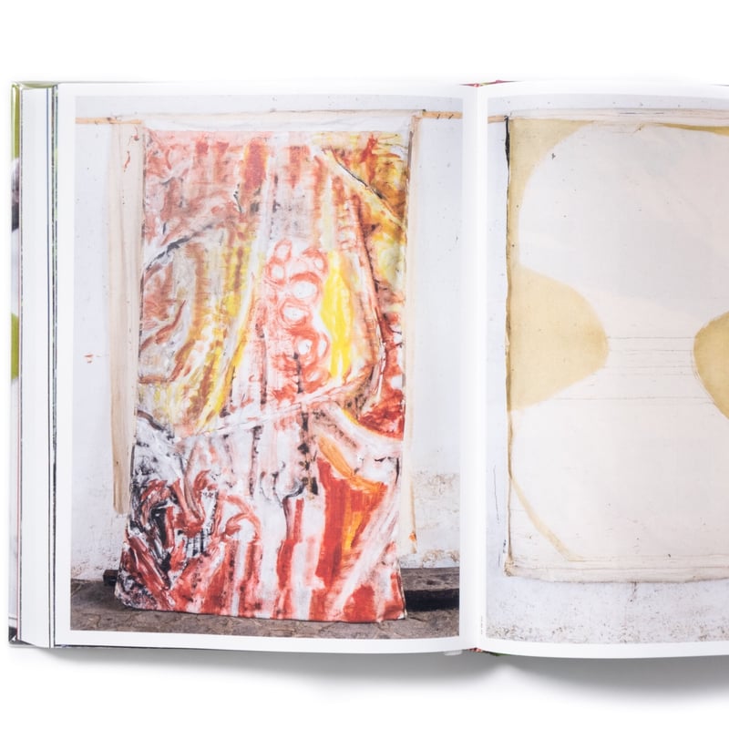 Vivian Suter | Art Book Iskusstvo