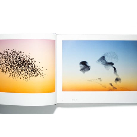 Søren Solkær: Starling