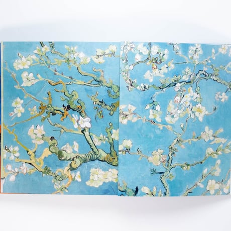Van Gogh: The Bigger Picture
