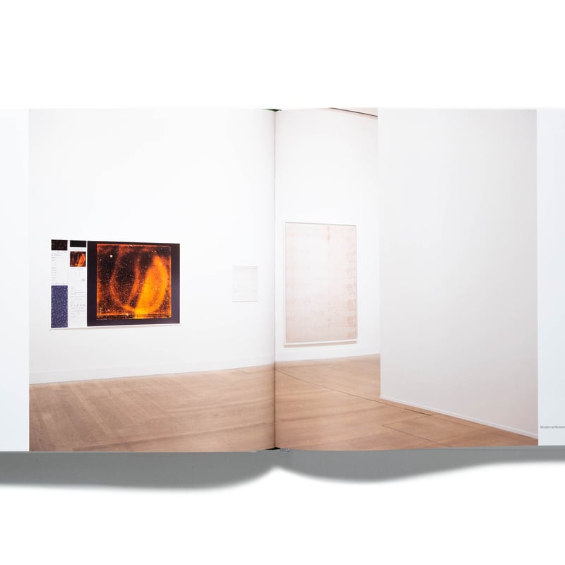 Wolfgang Tillmans. Saturated Light | Art Book I