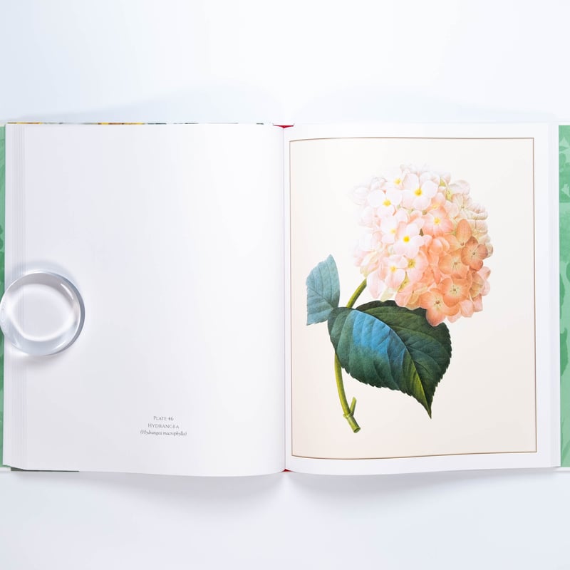 Redouté: Fabulous Flowers | Art Book Iskusstvo