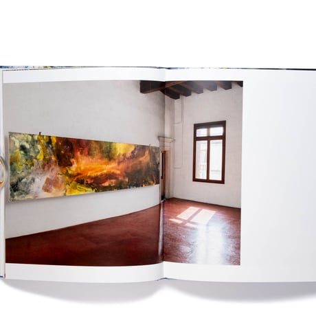 Beverly Barkat: Evocative Surfaces