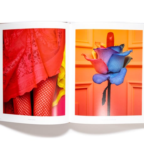 Photographie: Christian Dior by Brigitte Niedermair