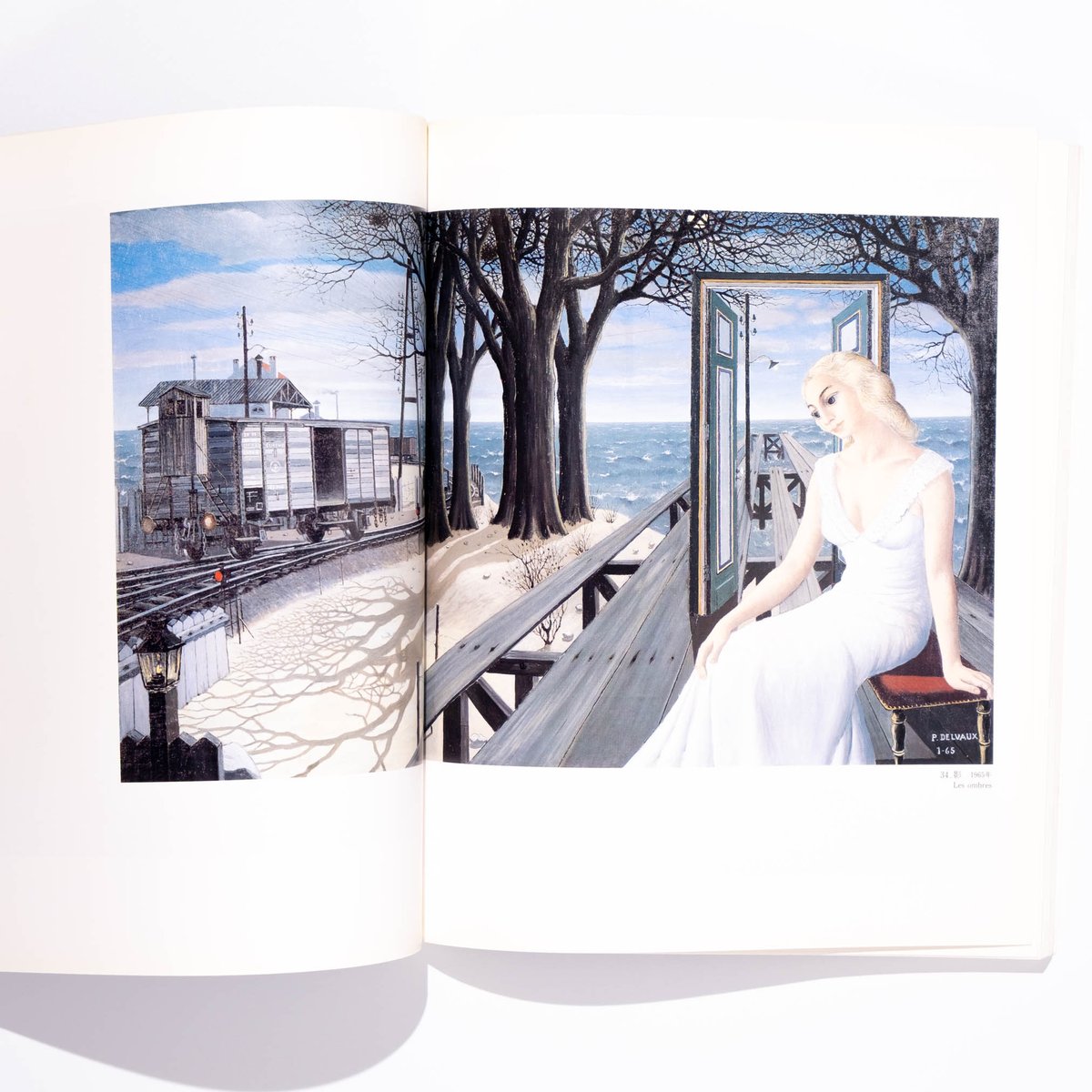 ポール・デルボー展 図録 | Art Book Iskusstvo